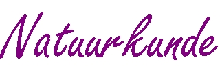 Natuurkunde