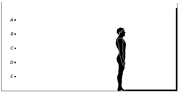 Fig11.gif