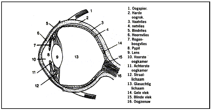 Fig12.gif