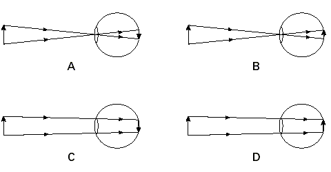 Fig13.gif