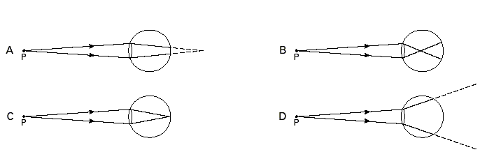 Fig15.gif