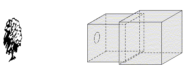 Fig17.gif