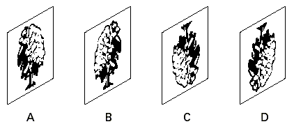 Fig18.gif