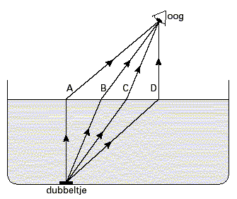 Fig5.gif